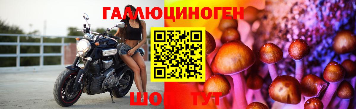 Галлюциногенные грибы ЛСД Новороссийск