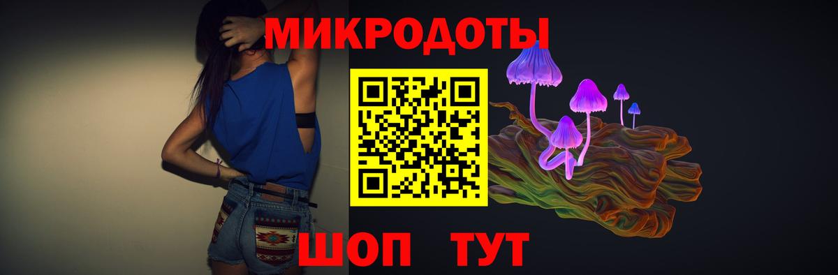 Новороссийск  Галлюциногенные грибы прущие грибы  Вход с VPN 